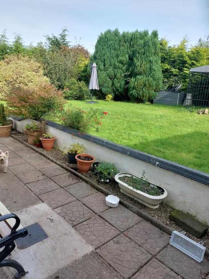 Ferienwohnung Hillside Haven 2 Tipperary Exterior foto